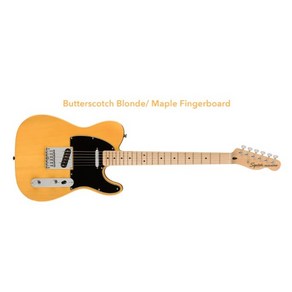 FENDER SQUIER AFFINITY SERIES TELECASTER 팬더 스콰이어 인피니티 텔레케스터 BUTTERSCOTCH BLONDE, 1개