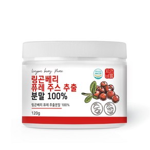 링곤베리 퓨레 주스 추출 분말 가루 100% 120g 효능, 1개