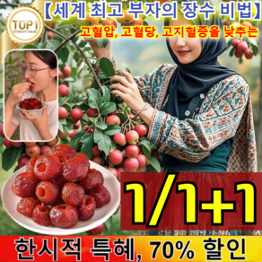 1/1+1[세계 부자의 장수 비법]씨 없음 공심 산사 산사나무 열매 과일포 동결 건조 250g 2개