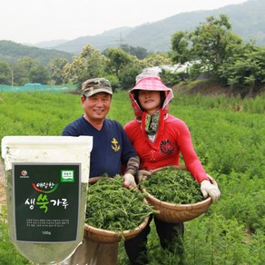 강화약쑥 고운 생 쑥가루 100g 무농약 쑥분말 라떼 쉐이크 유기농 강화약쑥 원재료