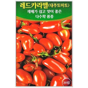 레드캬라멜 대추토마토 20립, 1개