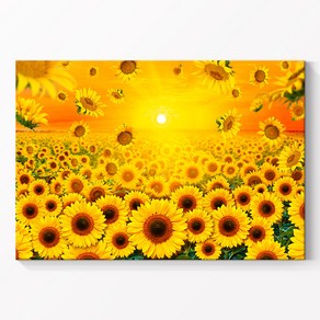 풍수아트 05.긴급RE-쏟아지는 돈벼락 해바라기  캔버스액자 중대형 20호[72.7x53cm]