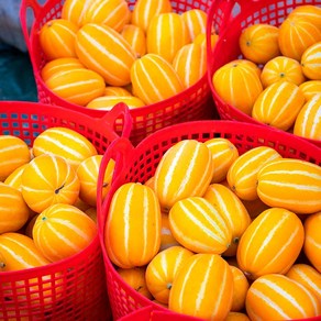 산지직송 성주 꿀 참외 보장 [못난이 몬난이 가정용 하우스 로얄과 수확 고당도 꼬마 겨울 과일 수확], 1개, 1kg