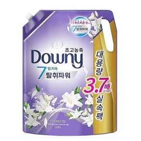 다우니 릴리 2.6L