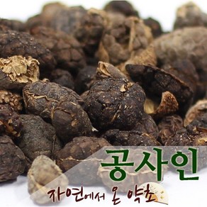 공사인 미얀마산 300g, 1개