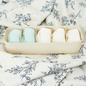 홈슨 5칸 속옷정리함(베이지) 깔끔하고편리 양말수납 속옷보관 서랍정리함 양말수납함 슬라이딩정리함 양말보관 속옷수납장 칸막이정리함, 1개
