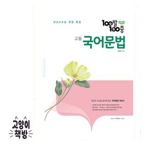 100발 100중 고등 문법 개념서, 고등학생