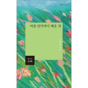 여름 언덕에서 배운 것:안희연 시집, 창비, 안희연