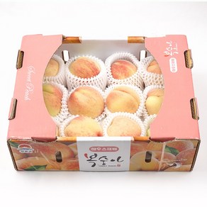 [우수농가출고] 고당도 제철 복숭아 백도 말랑이 딱딱이 하우스, 1세트, 중소과 500g