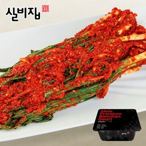 실비집 실비김치 파김치, 1개, 500g