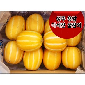 <제주빛가람> 성주 용암 참외 산지직송 달콤한 꿀 참외, 1박스, 2kg 소과(8-10개 내외)