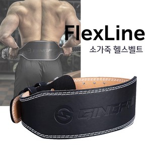 플렉스라인 헬스 벨트 역도벨트 가죽 웨이트 중량 FlexLine, 블랙, XL, 450g