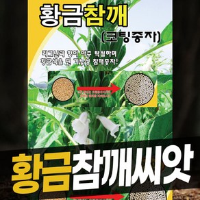 참깨씨앗 흑깨씨앗 황금참깨씨앗 플러스안산참깨씨앗 슈퍼태강참깨씨앗, 황금참깨씨앗 그린하트바이오 1000립, 1개