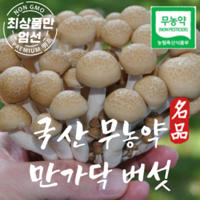 국산 만가닥버섯 무농약 만가닥버섯 1kg