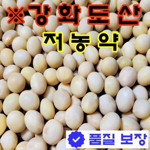 24년산 무농약 백태콩5kg 강화도 콩, 1개