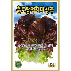 전문가용채소 씨앗] 상추 토담적치마 3000립, 1개