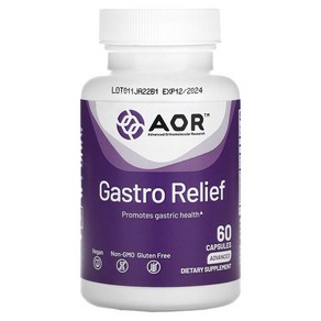 AOR 매스틱검 알긴산 아연 카르노신 생강 Gasto Relief 60 캡슐 약들약 고약사 / 해외직구 미국정품, 성인남녀공용, 1개, 60회분