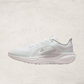 매장정품 나이키 NIKE 페가수스 41 GORE-TEX FQ1356-101 1566653