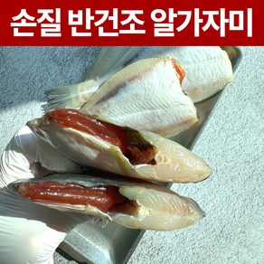 반건조 손질 알가자미 참가자미 (냉동) 미국산, 2개, 대