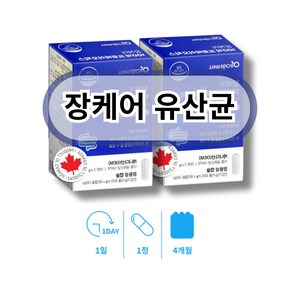 유쌍균 우산균 잦은 배변 대변 방귀 방구 복부가스제거 배에가스 빼는법 유산균 먹는법 유신균 유상균 해결, 2세트, 60회분