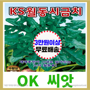 [OK씨앗] [KS월동시금치] 월동시금치씨앗(오케이씨앗), 1개