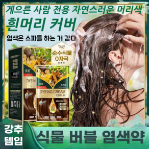 [100%커버]헤어케어 천연 식물 버블 염색제 300ml 쉽고 빠른 염색샴푸, 커피색, 2개