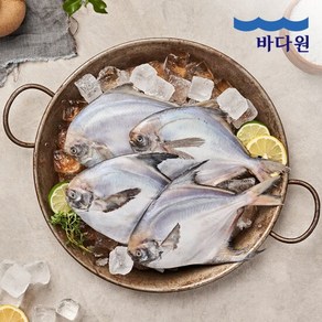 [바다원] 국내산 손질 은병어 300g(2미) 2팩 총600g 4마리, 2개