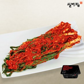 실비집 실비김치 파김치, 1개, 500g