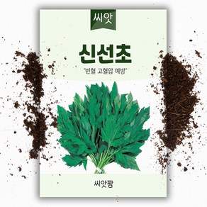 신선초씨앗(100립)