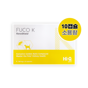 미니 후코 K 신장보조제 후코케이 FUCO K 300mg 10캡슐 신장영양보조제, 1개