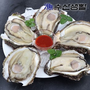 [수산생활] 거제도 자연산 바위굴 하프셀 1kg, 1개, 1