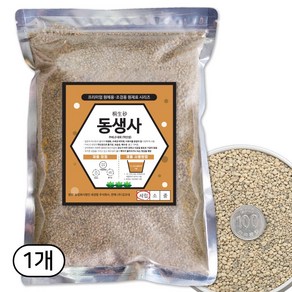 동생사2L 난석, 2L, 1개