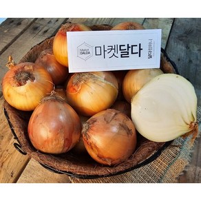 국내산 양파 햇양파 무안 함평 해남 등 산지출하중, 양파 10kg(진짜짱아찌용), 1개