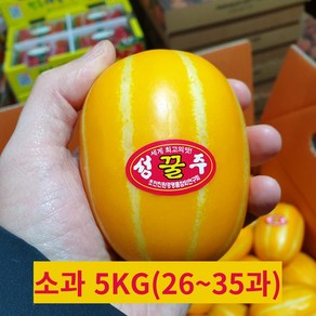 [농가직송] 성주 고당도 꿀벌참외 당도선별 가정용 못난이참외, 1개, 5kg 소과(26~35과)