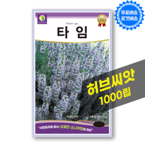 타임씨앗 Thyme 종자 허브 씨앗 허브키우기 종자