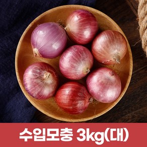 수입모충 샬롯 작은양파3kg (큰사이즈)