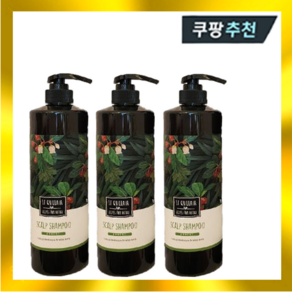 르퀼라야 스칼프 샴푸 포레스트 810ml 3개