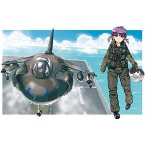 Hasegawa 하세가와 타마히코키 TH19 AV-8 해리어, 단일, 1개