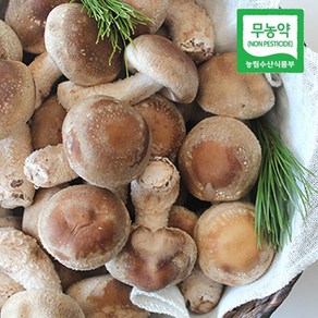 착한송이 영양 무농약 송이버섯 표고버섯이 만난 착한송이 450g, 1개