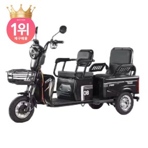 크로스바이 세발 전기차 스쿠터 2인승 삼륜 오토바이 72v 20a 1000w, 블랙