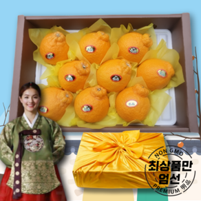 해보미네 제주 한라봉 명절선물세트(8~10과)3kg, 1박스, 3kg