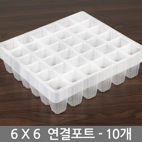 세인화분 연결 포트 10P 세트 - 씨앗 파종 육묘 재배 모종판 모종 트레이 포트 묘목 원예용 고추모종포트, 연결포트6x6, 10개