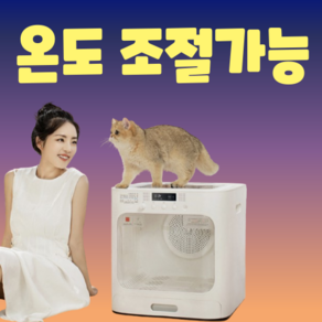 캠페토 펫드라이룸 드라이기 강아지 고양이 애견 대형 털말리기 건조기, 스마트 온도조절가능 펫드라이룸, 1개