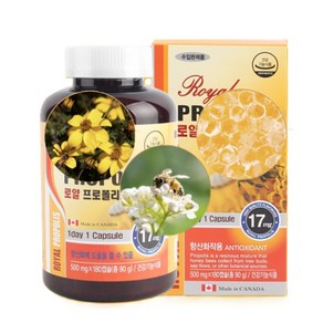 프로폴리스 PROPOLIS 캡슐 플라보노이드 항산화 캐나다 안전캡사용 부모님 선물, 180회분