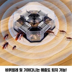 mk 다잡아 바퀴벌레약 해충 돈벌래 지네 거미 빈대 노래기 개미 트랩, 3개, 39.5g