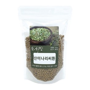 순하당 베트남 산미나리씨환 (회향 펜넬씨드), 300g, 1개