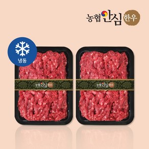 [농협안심한우] 1+등급 한우 다짐육 600g/900g_옵션별 상이, 2개