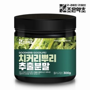 조은약초 치커리 뿌리 추출물 분말 가루 300g, 1개