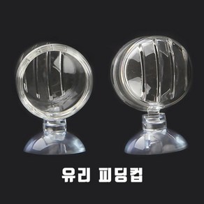 신바람 유리 피딩컵 S 3.5cm3.5cm, 1개