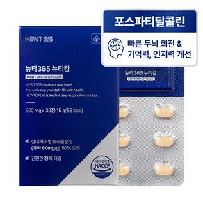 뉴티365 뉴티캄 포스파티딜콜린 뇌영양제 기역력개선 영양제, 1박스, 30정